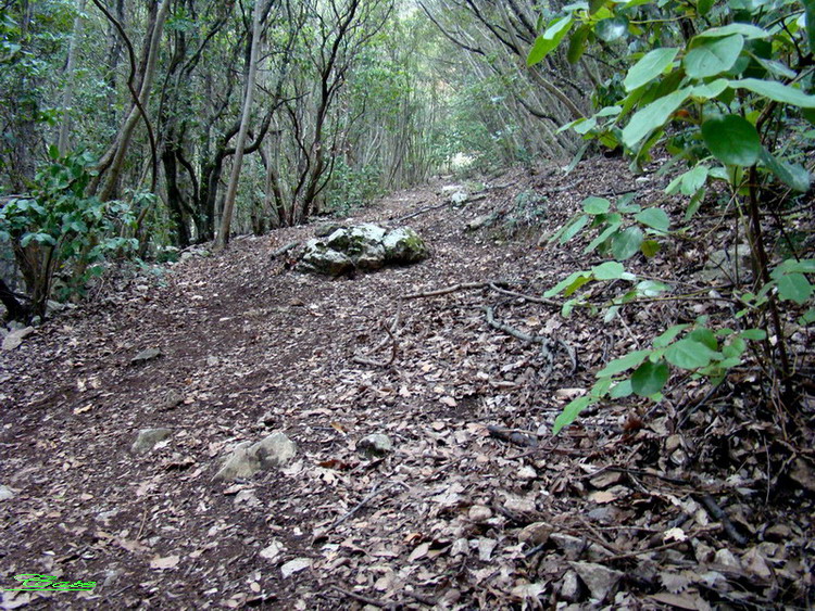 Alla conquista della vetta di Monte Circeo